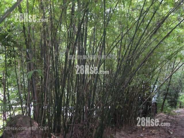 土地 售盤 299,257 平方呎