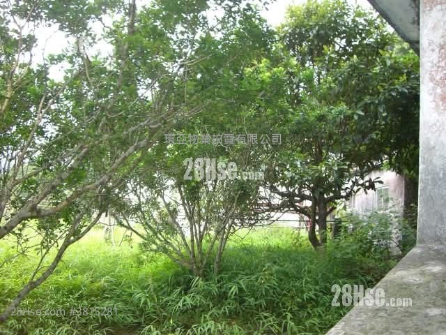 土地 售盤 299,257 平方呎