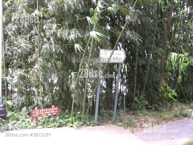 土地 售盤 299,257 平方呎