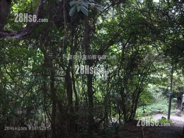 土地 售盤 299,257 平方呎