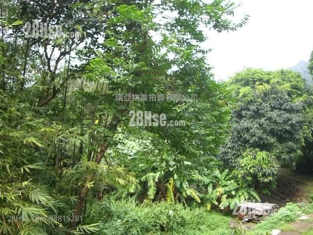 土地 售盤 299,257 平方呎