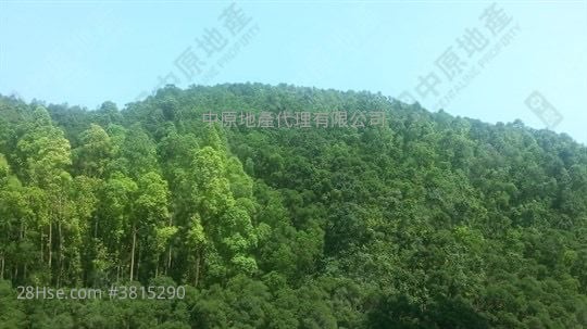 峻滢 售盘 2 房 498 平方尺