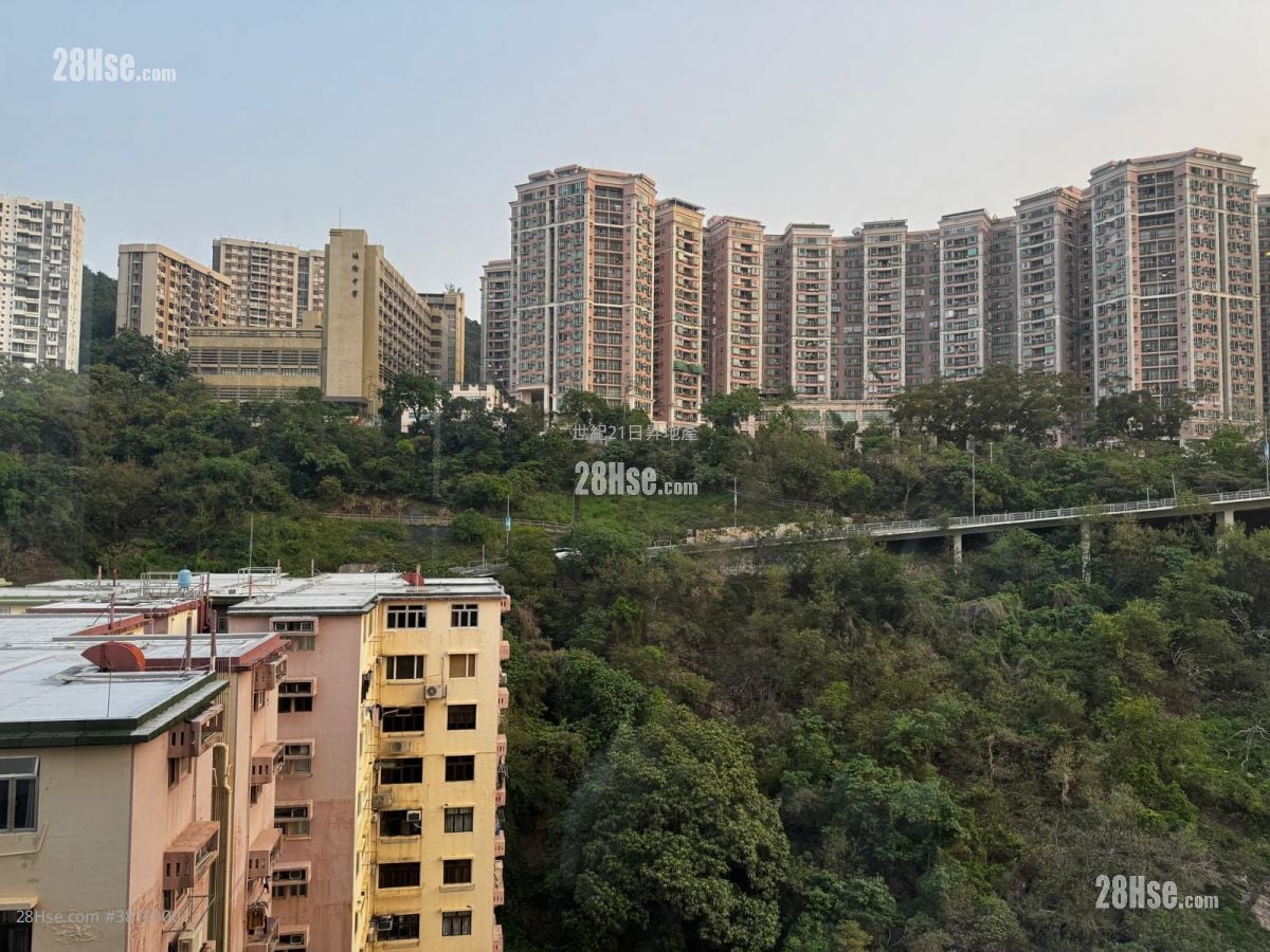 景观: 柏蔚山 租盘 2 房 , 1 浴室 678 平方尺