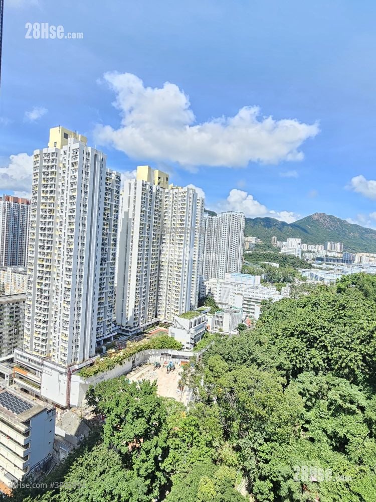 Gardenia Rental 1 Bedroom , 1 Bathroom 270 ft²