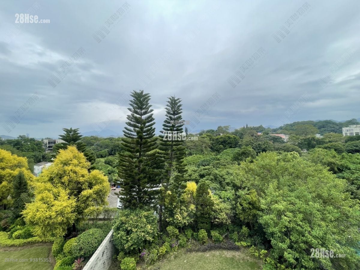 天巒 售盤 5+ 房 2,774 平方呎