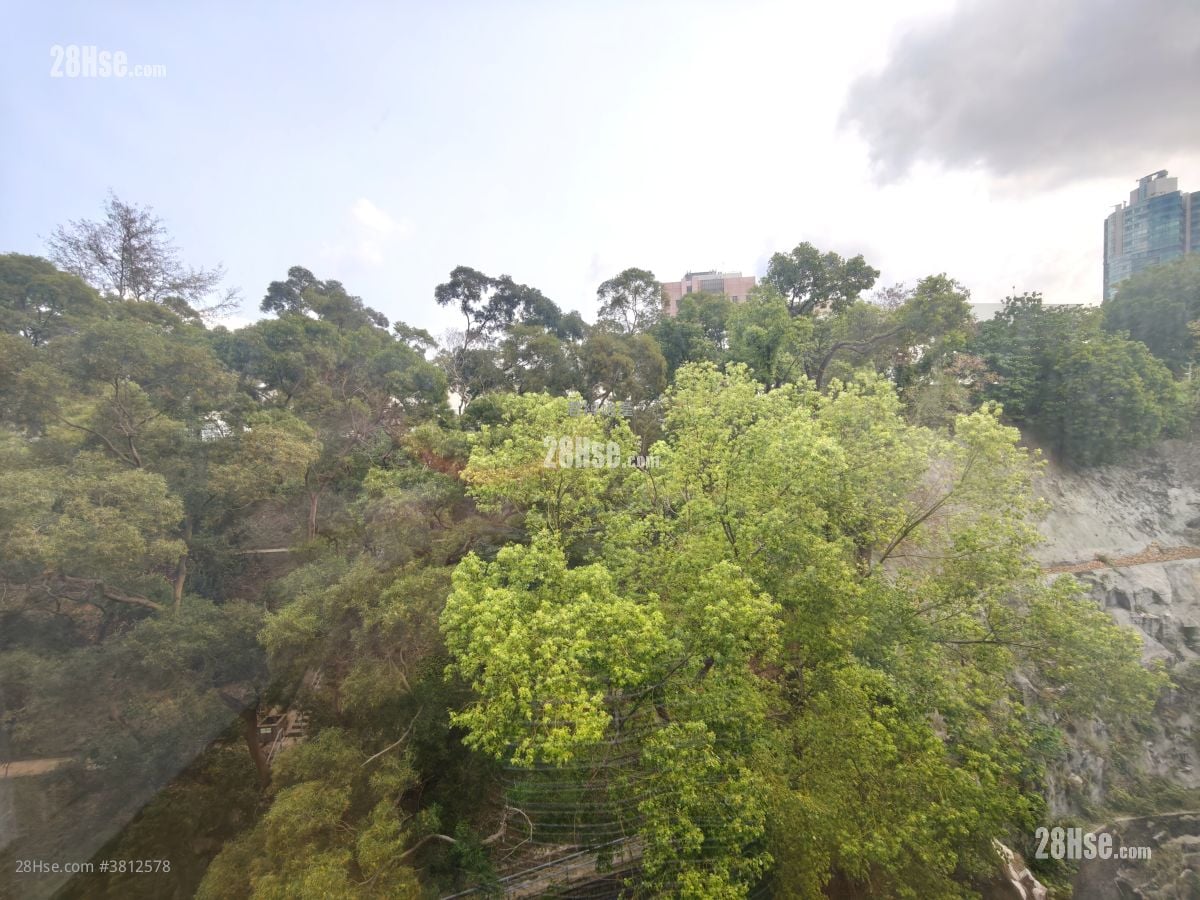 明寓 租盘 3 房 , 4 浴室 1,304 平方尺