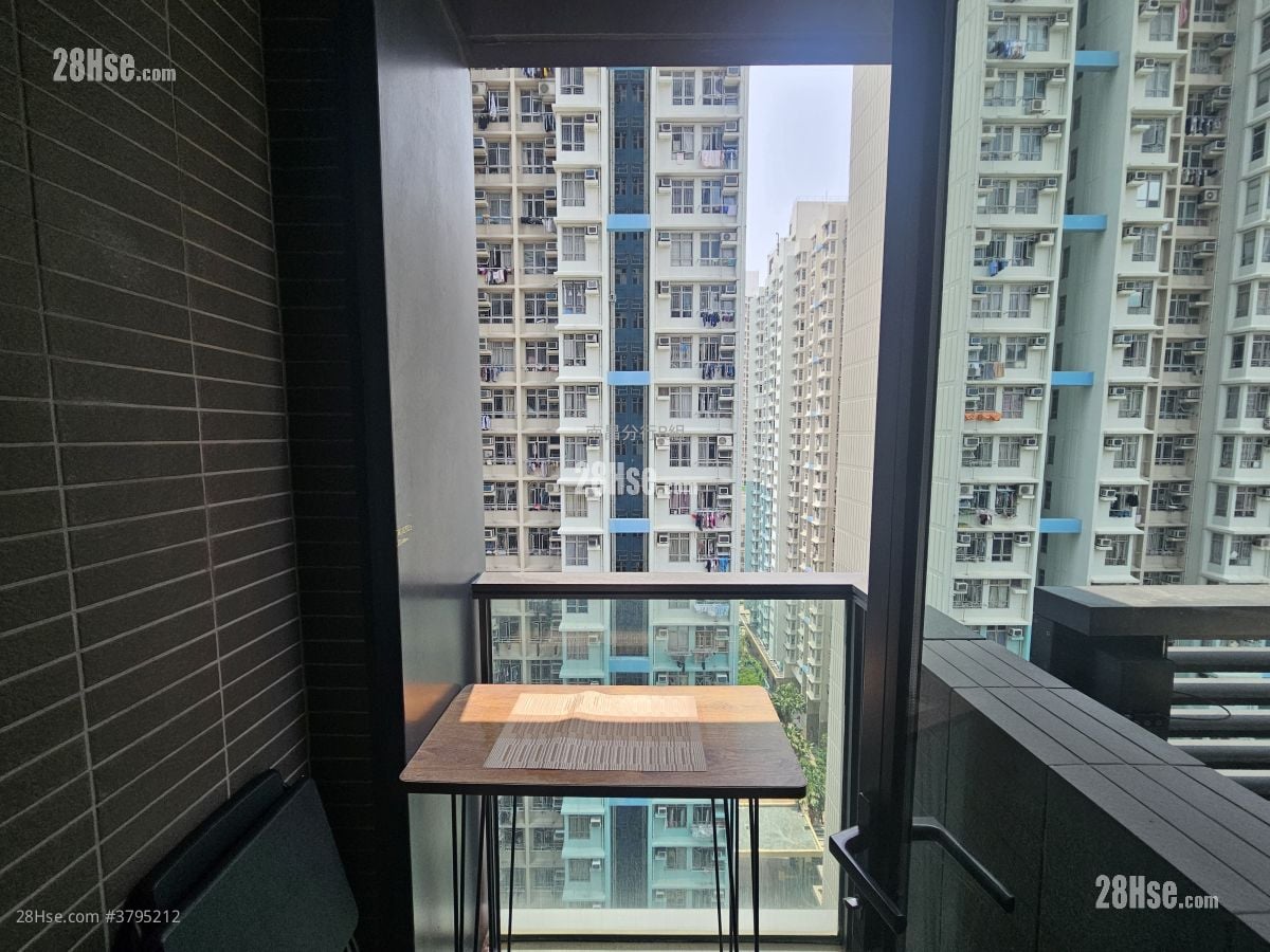 睿峰 租盘 开放式间隔 , 1 浴室 244 平方尺