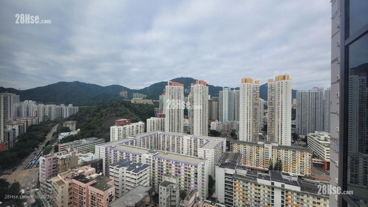 AVA61 租盘 开放式间隔 , 1 浴室 161 平方尺