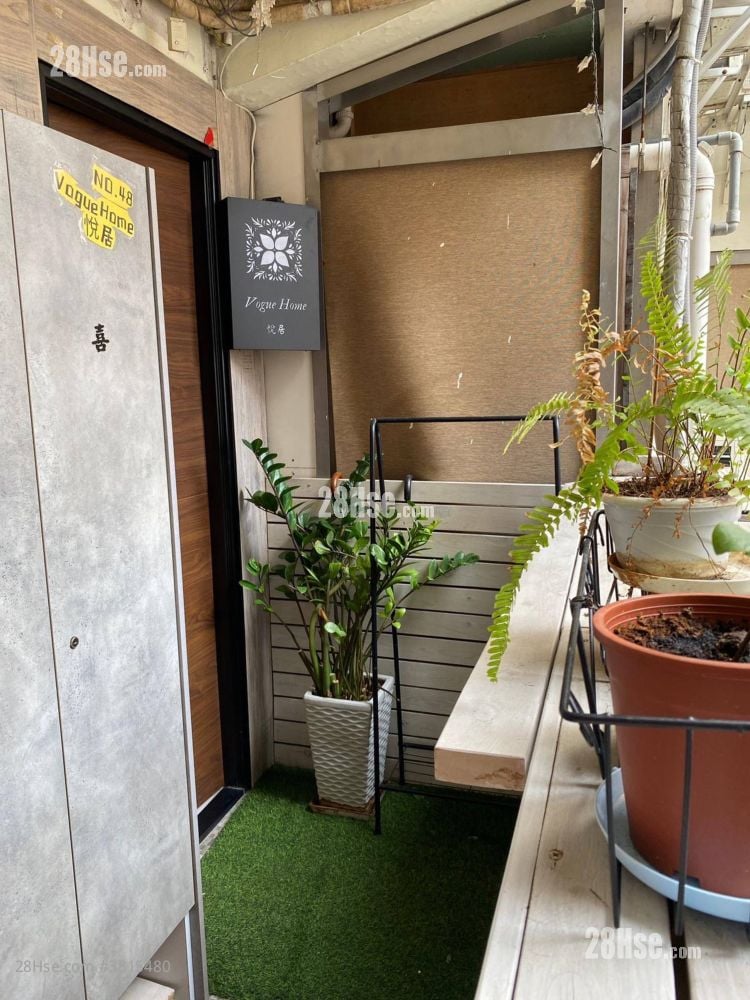 Apartment Rental 60 ft²