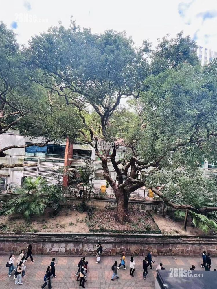 Apartment Rental 60 ft²