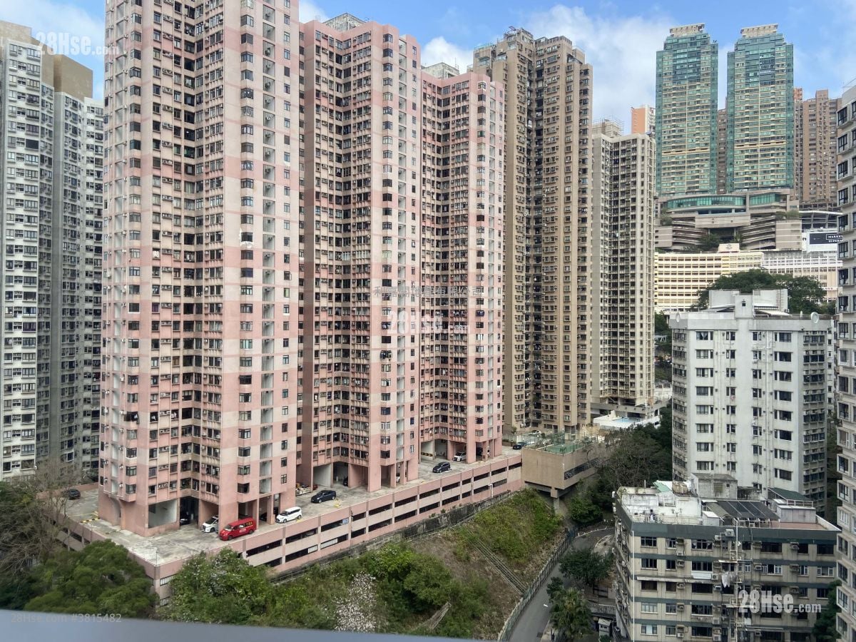 101 Kings Road 租盤 1 房 310 平方呎