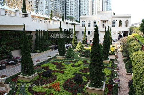 御龙山 售盘 3 房 , 2 浴室 920 平方尺