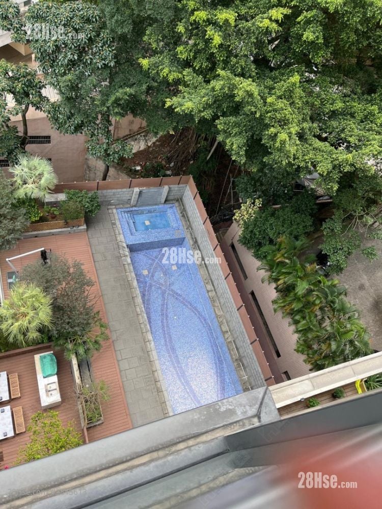 尚峦 租盘 开放式间隔 , 1 浴室 273 平方尺