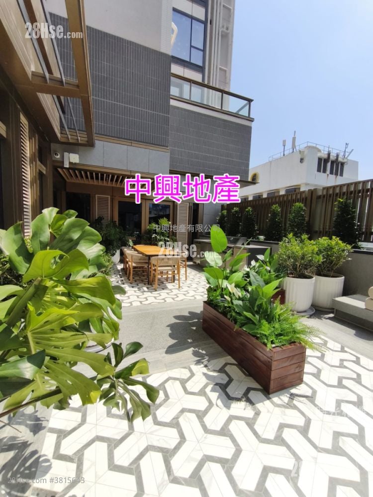 高临 租盘 1 房 272 平方尺