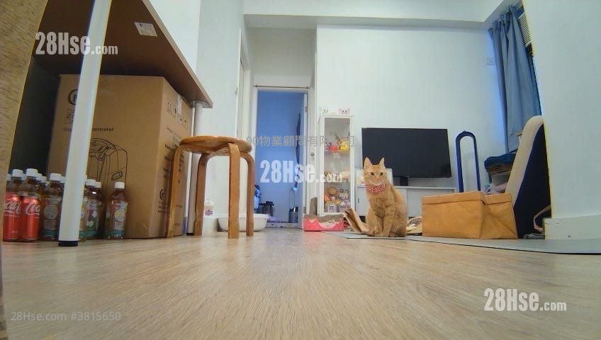 美菲閣 售盤 348 平方呎