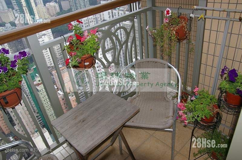 The Merton Rental 1 Bedroom , 1 Bathroom 313 ft²