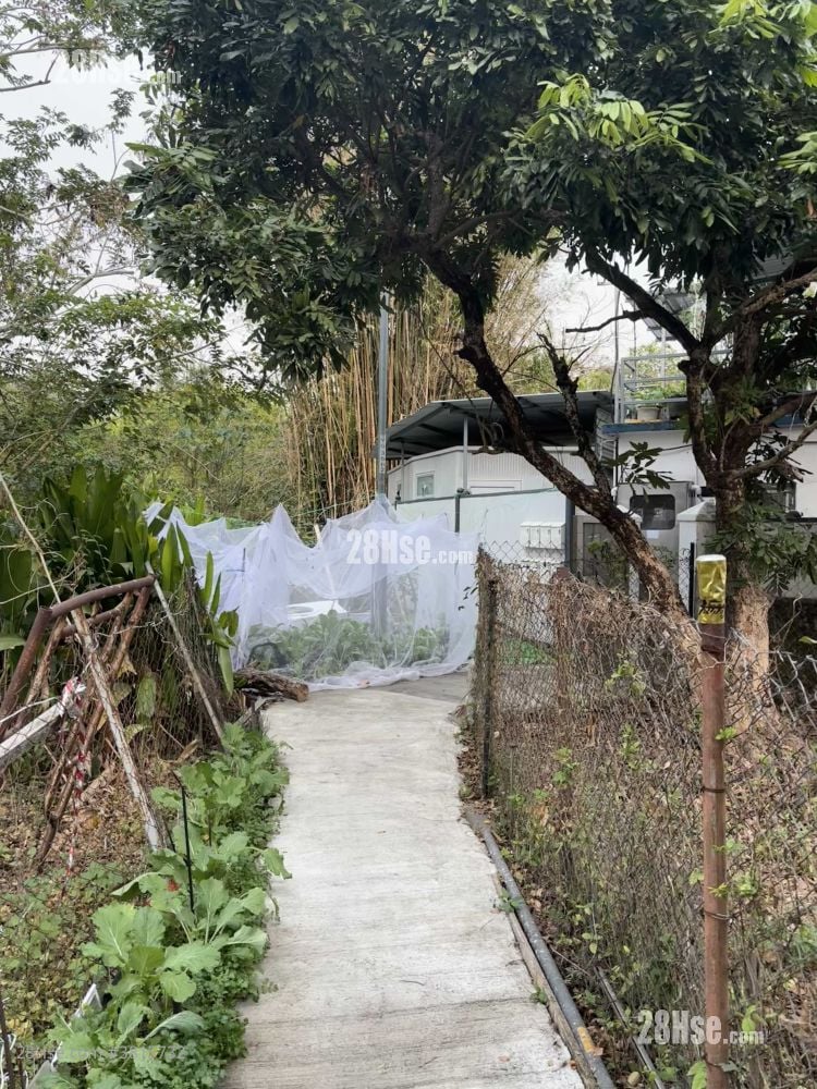 Village Rental 200 ft²