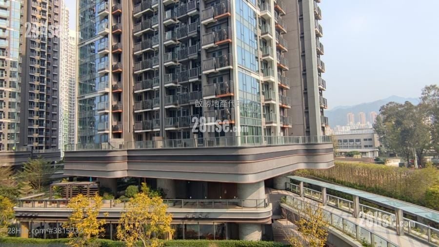 Novo Land 租盤 2 房 , 1 浴室 428 平方呎