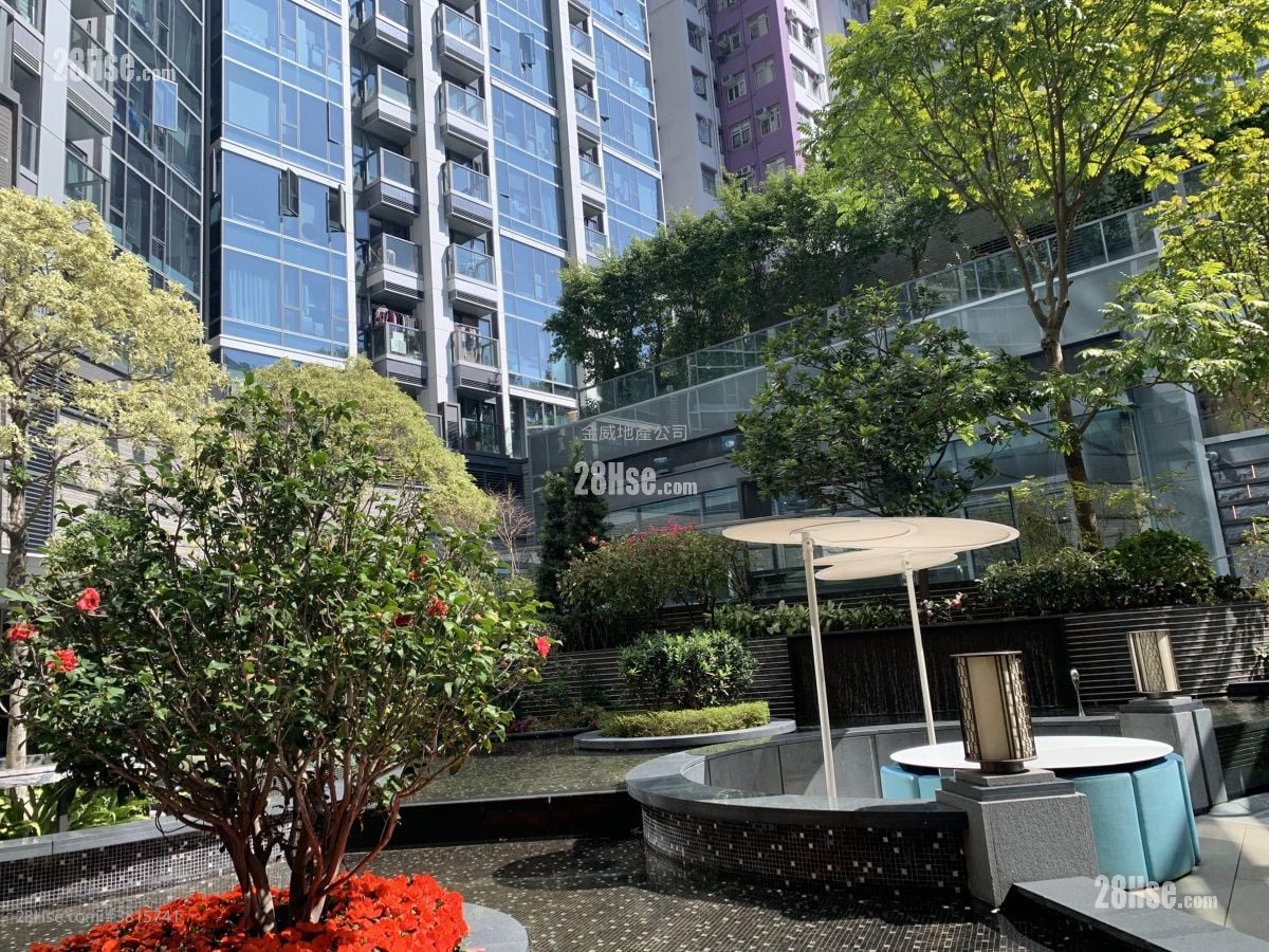 Lime Gala Sell Studio , 1 Bathroom 331 ft²