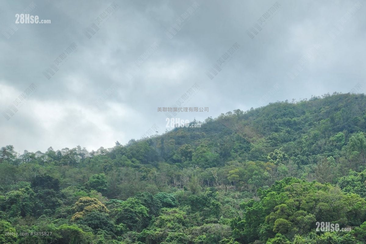 Ocean Shores Sell 2 Bedrooms , 1 Bathroom 499 ft²