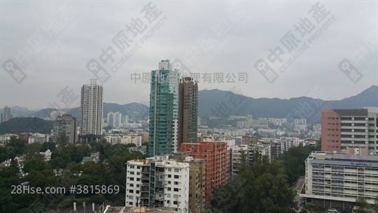 巴富花園 售盤 3 房 994 平方呎