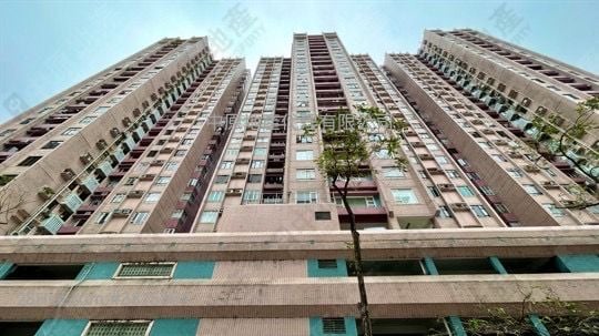 巴富花園 售盤 3 房 994 平方呎