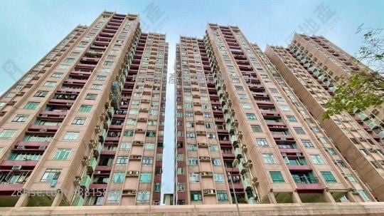 巴富花園 售盤 3 房 994 平方呎