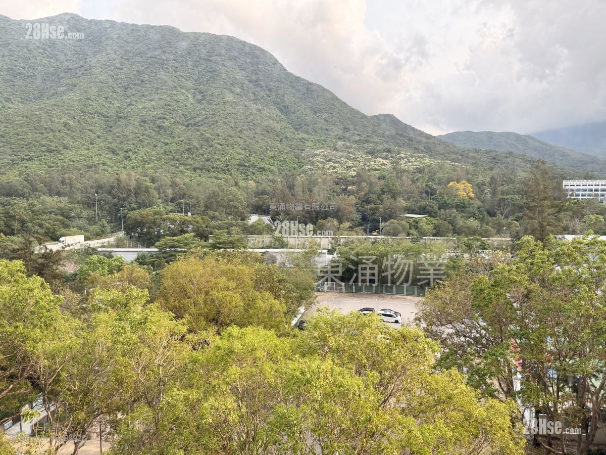 Coastal Skyline Rental 2 Bedrooms , 1 Bathroom 490 ft²