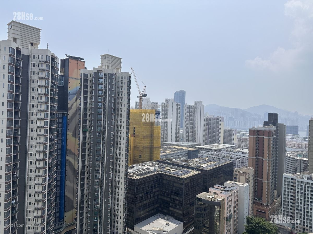 Star Ruby Rental 1 Bedroom 410 ft²