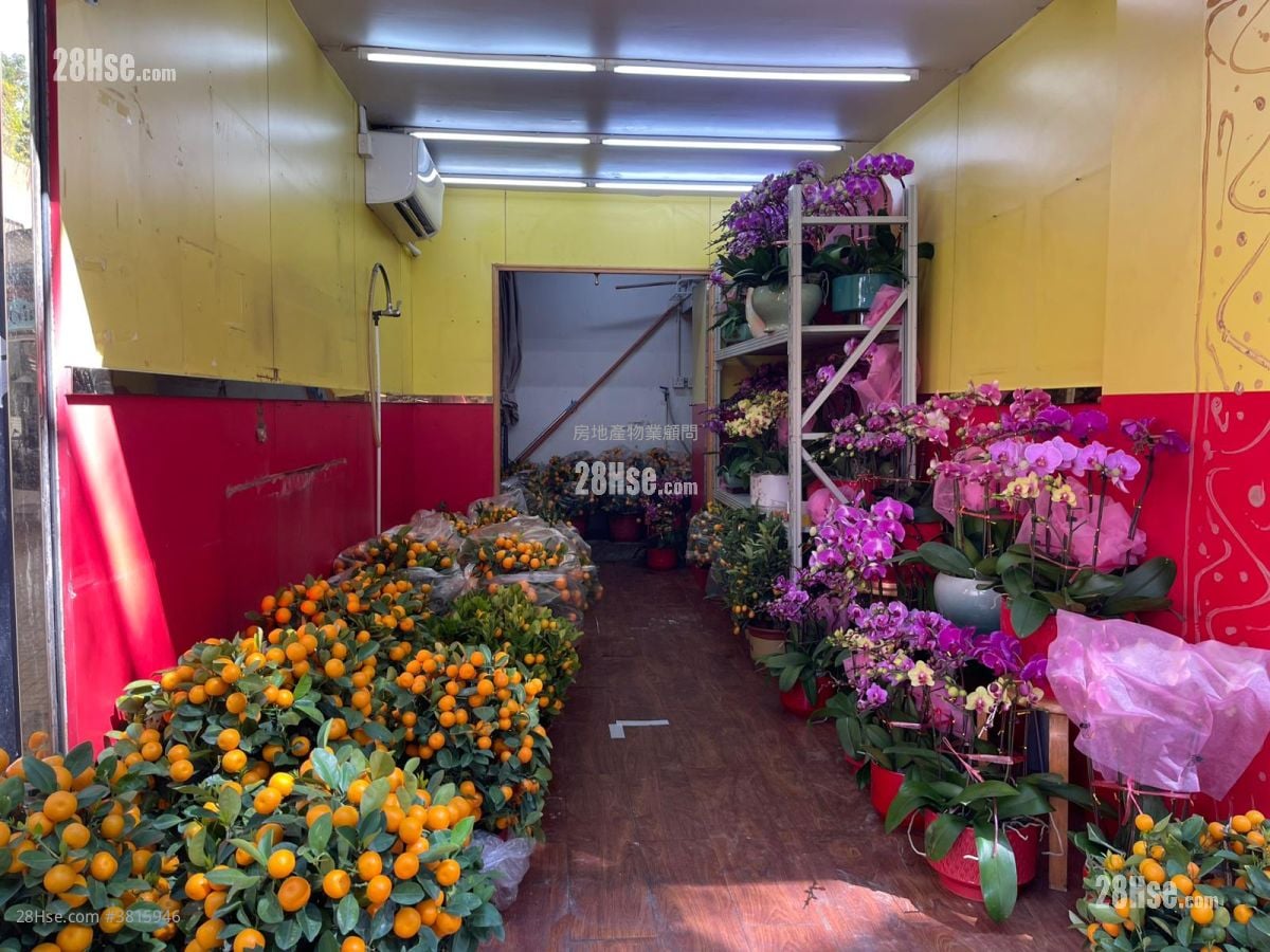 店舖Shop(粉嶺) Rental Studio