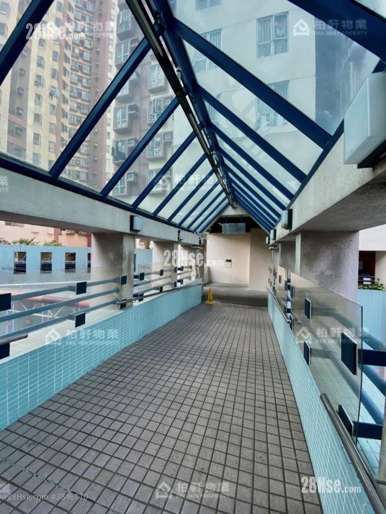 健康村 售盘 1 房 , 1 浴室 319 平方尺