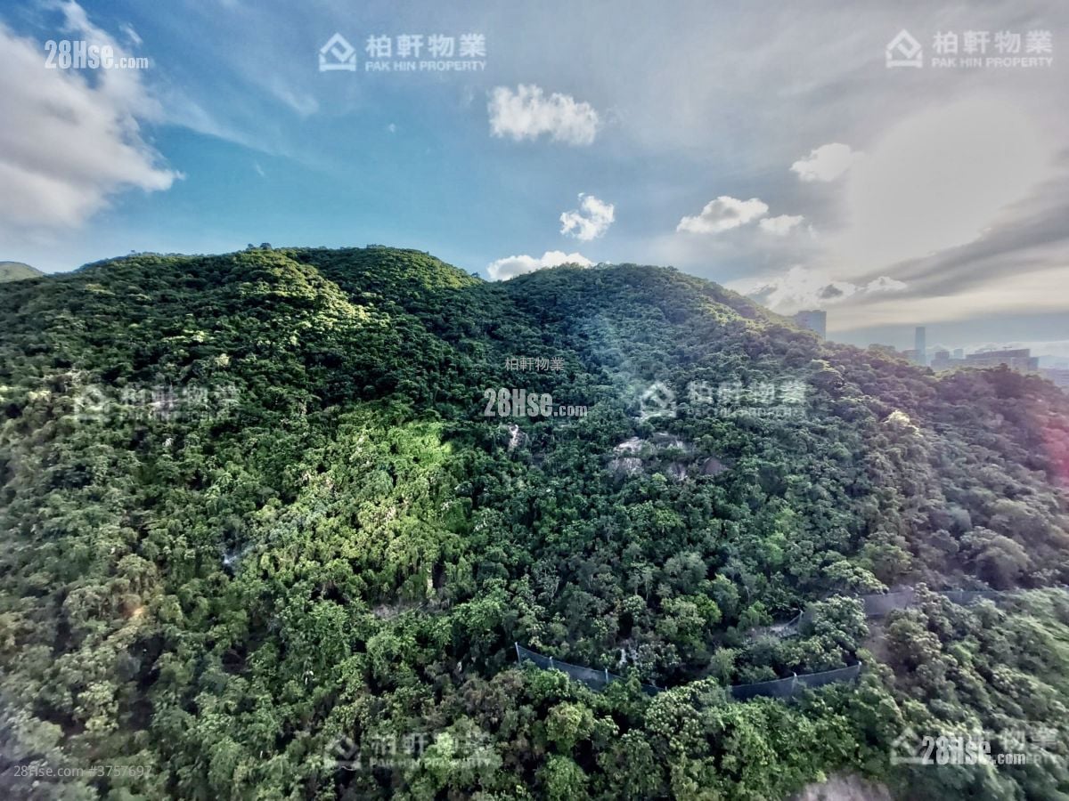 英麗閣 售盤 2 房 , 1 浴室 515 平方呎