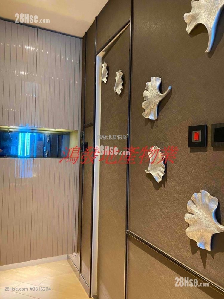 Lime Stardom Rental Studio 273 ft²