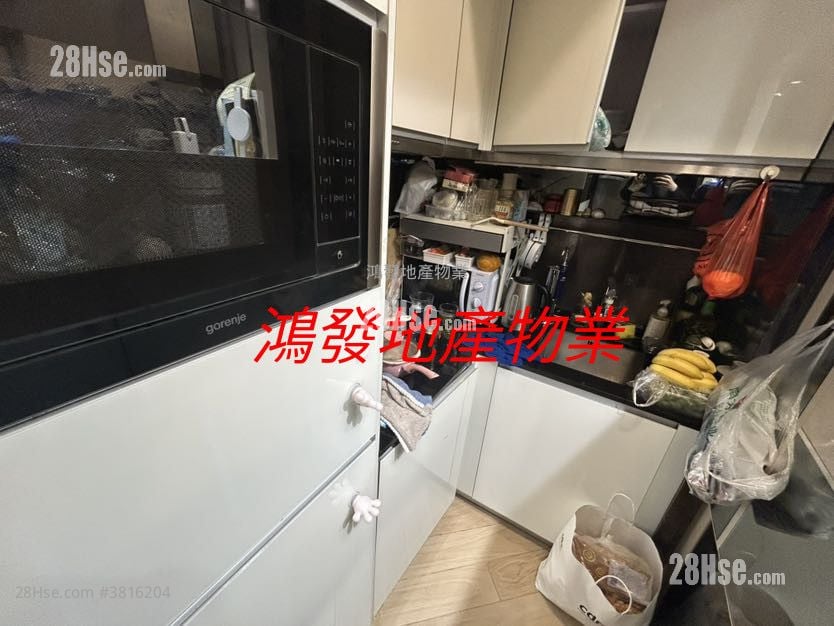 Lime Stardom Rental Studio 273 ft²