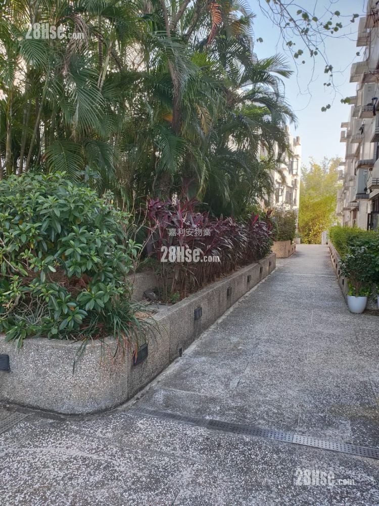 芳苑 租盘 3 房 , 3 浴室 1,460 平方尺