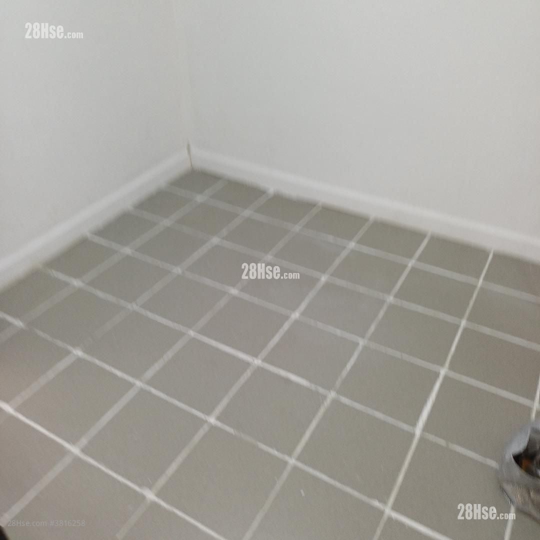 厅: 屏山灰沙围 租盘 1 房 , 1 浴室 600 平方尺