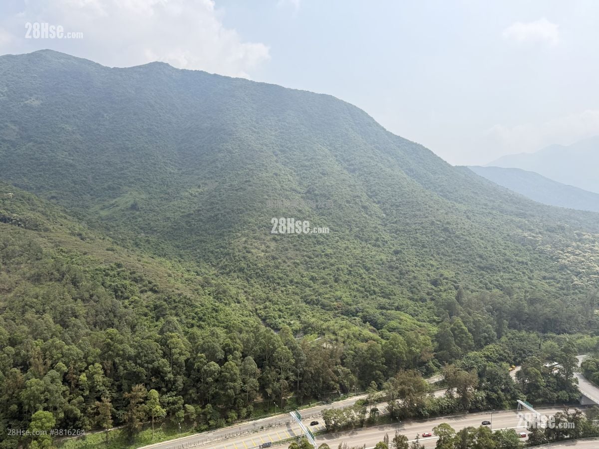 映湾园 租盘 2 房 , 1 浴室 552 平方尺