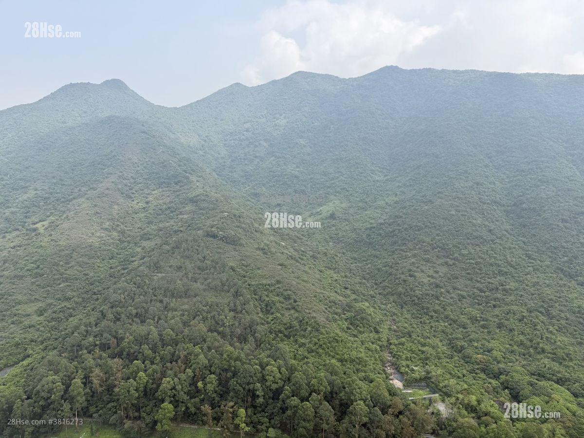 Caribbean Coast Rental 2 Bedrooms , 1 Bathroom 565 ft²