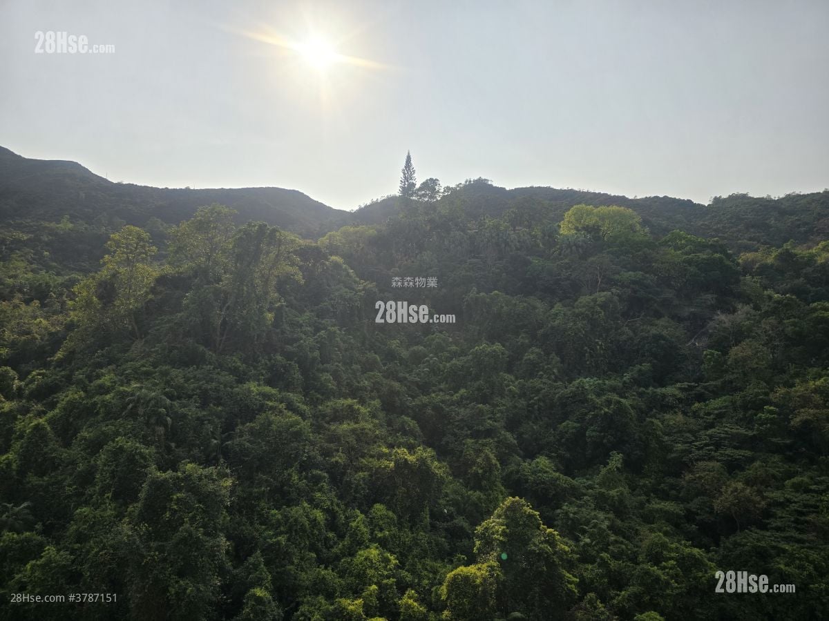 Mount Parker Lodge Sell 4 Bedrooms , 2 Bathrooms 845 ft²