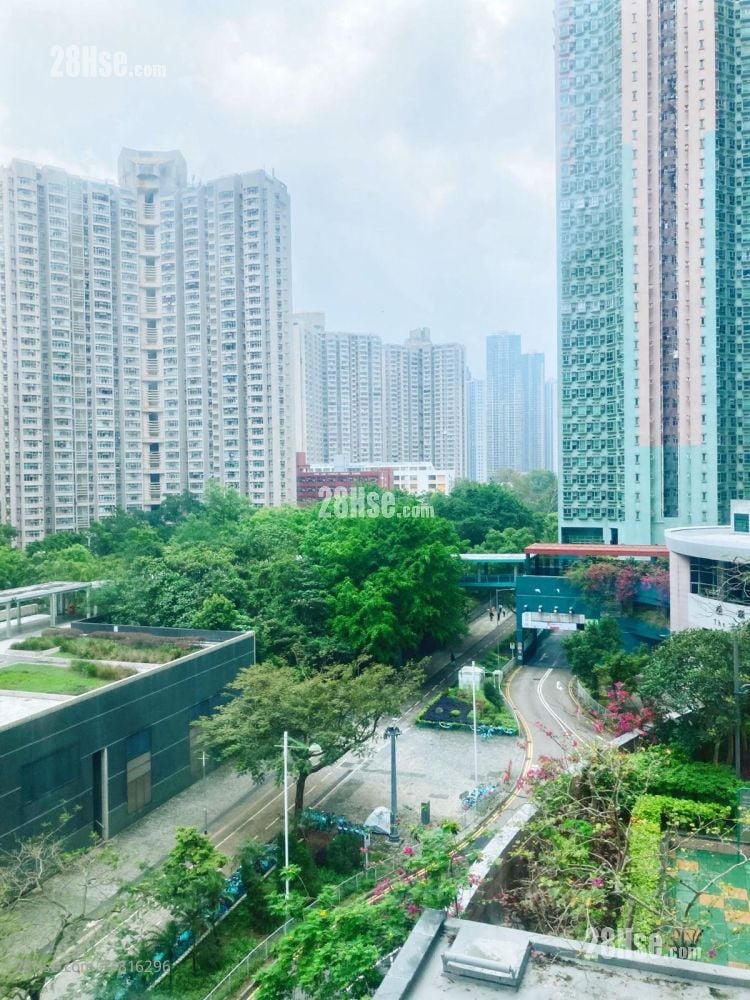 The Metro City Sell 2 Bedrooms 364 ft²