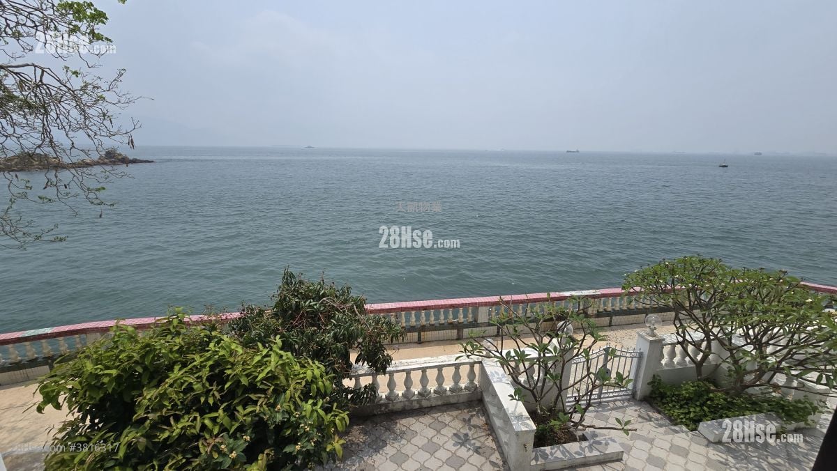 龍珠島別墅 租盤 292 平方呎