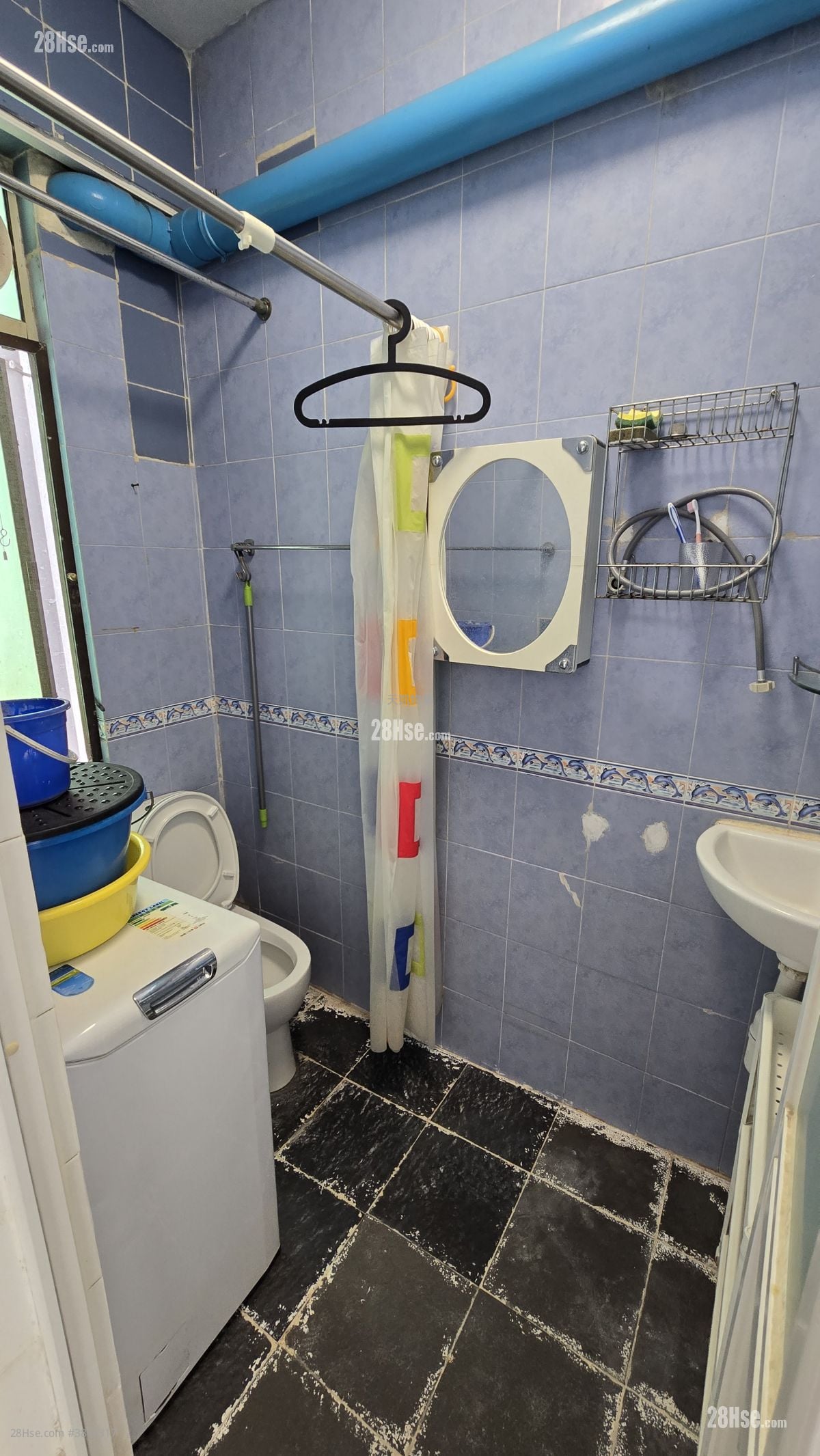 龍珠島別墅 租盤 292 平方呎