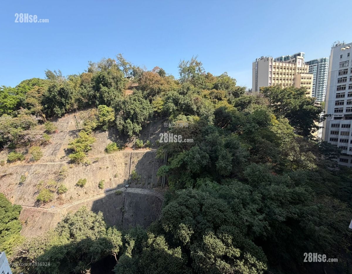 彌敦大廈 租盤 2 房 , 1 浴室 343 平方呎