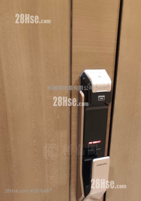 The Austin 租盘 1 房 , 1 浴室 418 平方尺