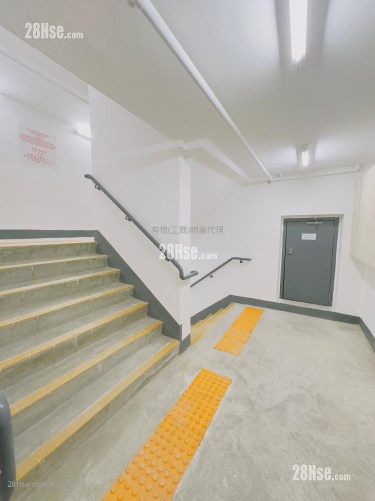 江博士中心 租盤 3 廁所