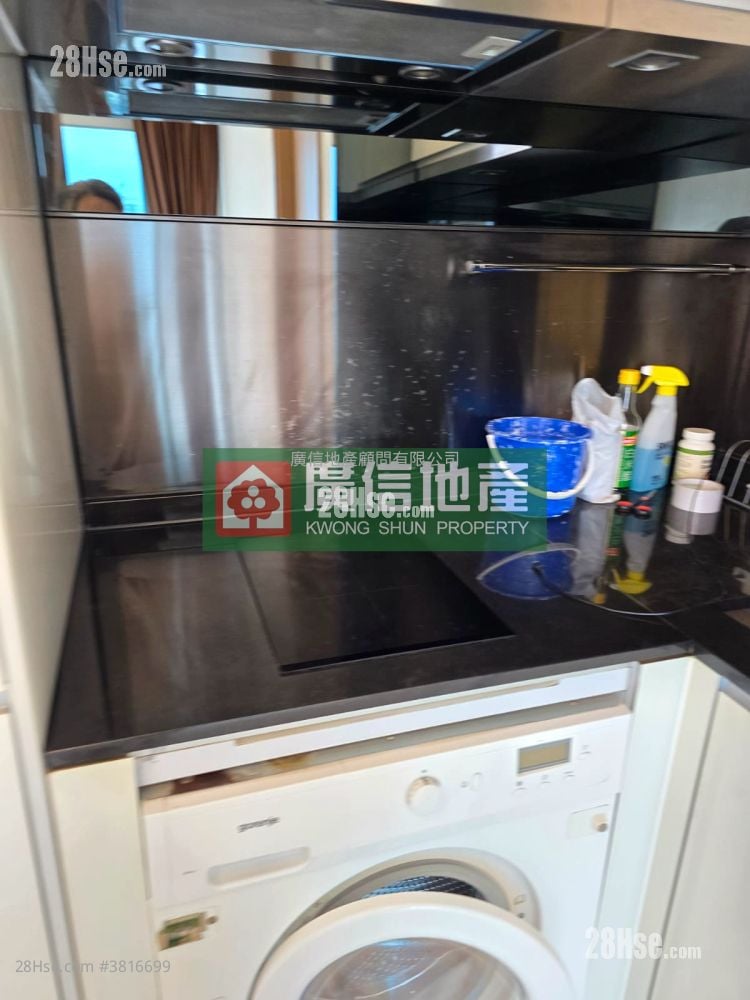 Lime Stardom Rental 1 Bedroom , 1 Bathroom 325 ft²