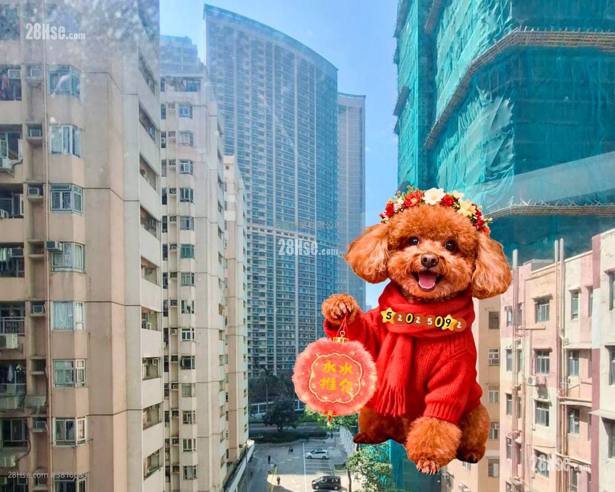 黄埔唐楼 售盘 2 房 , 1 浴室 256 平方尺