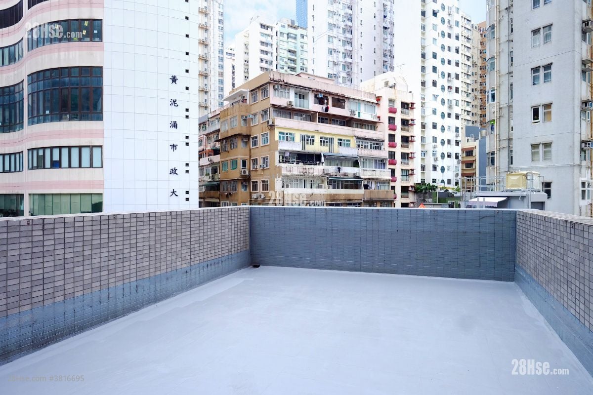 天台: 文丽楼  租盘 1 房 , 1 浴室 469 平方尺