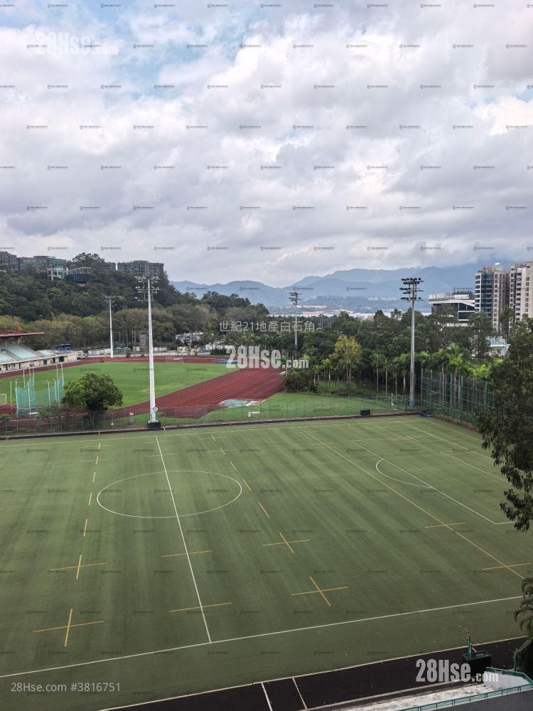 Silicon Hill Rental 218 ft²