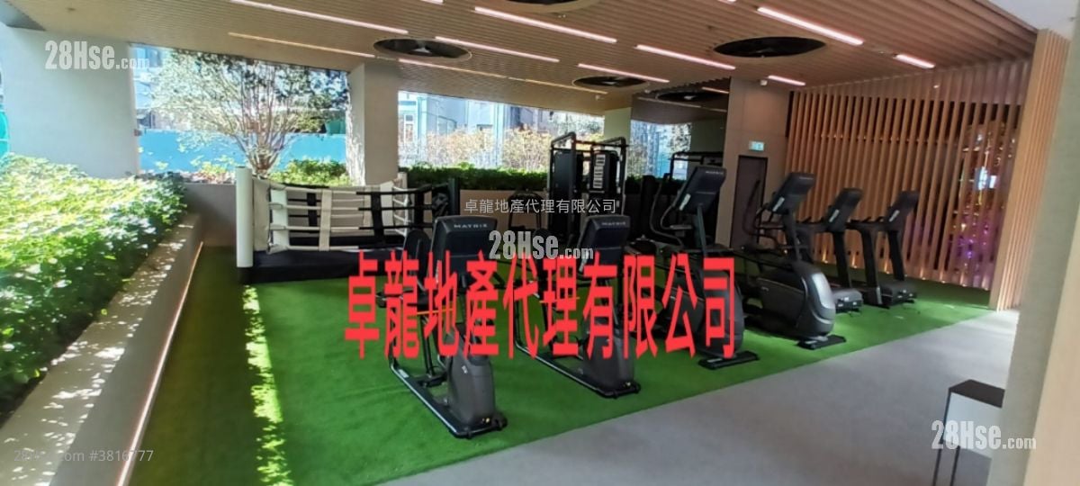 I City Rental 1 Toilet